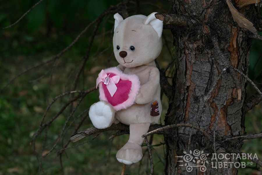 Мягкая игрушка Романтичный Котик с розовым сердечком